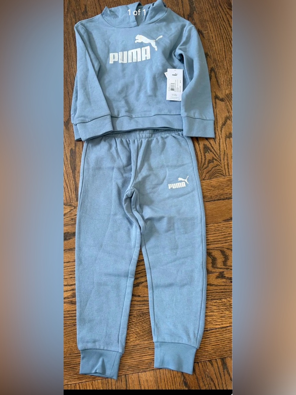 Puma Blue Kids Fleece Joggers & Hoodie